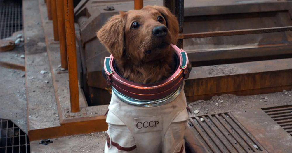 Cosmo the Spacedog (dok. Marvel Studios/Guardians of the Galaxy Vol. 3)