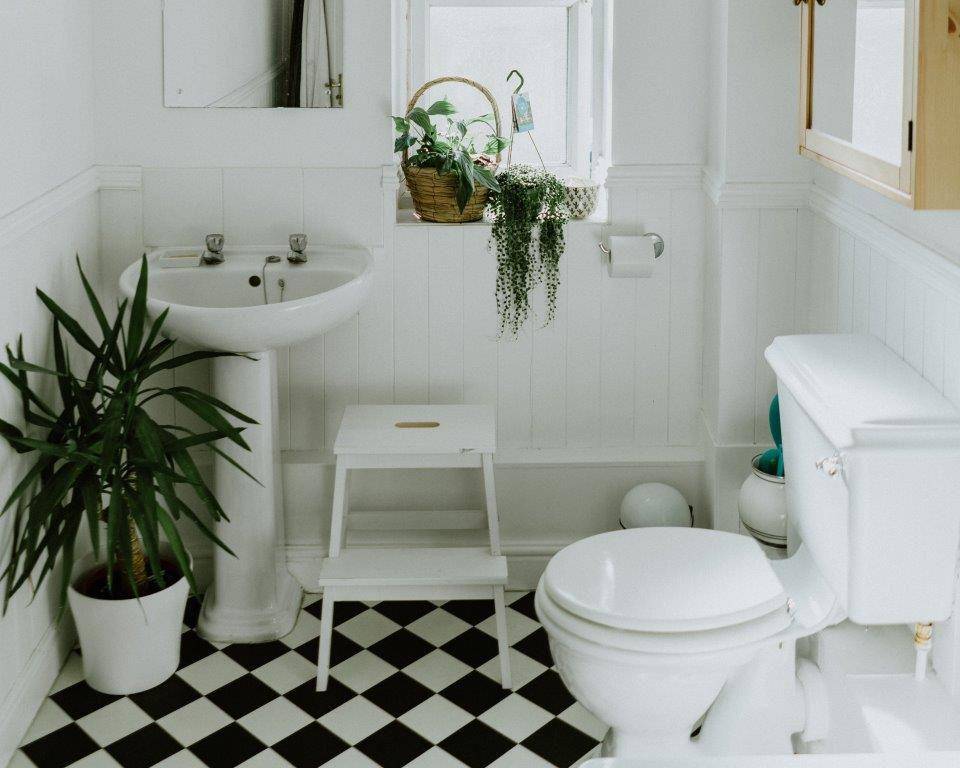 ilustrasi tanaman hias di kamar mandi (unsplash.com/Phil Hearing)