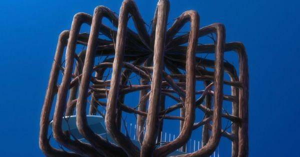 Cage of Life milik Kirio ( Dok. Pierrot / Bleach: Thousand-Year Blood War )