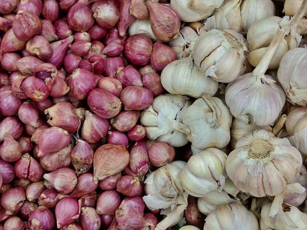 ilustrasi bawang merah dan bawang putih (unsplash.com/Dana Prabilyvia)