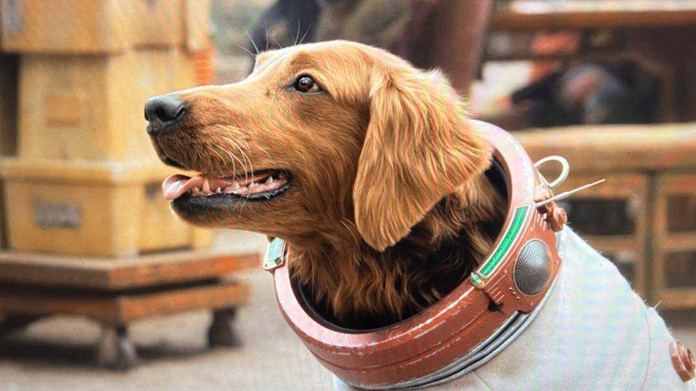 Cosmo the Spacedog (dok. Marvel Studios/Guardian of Galaxy Vol.3)