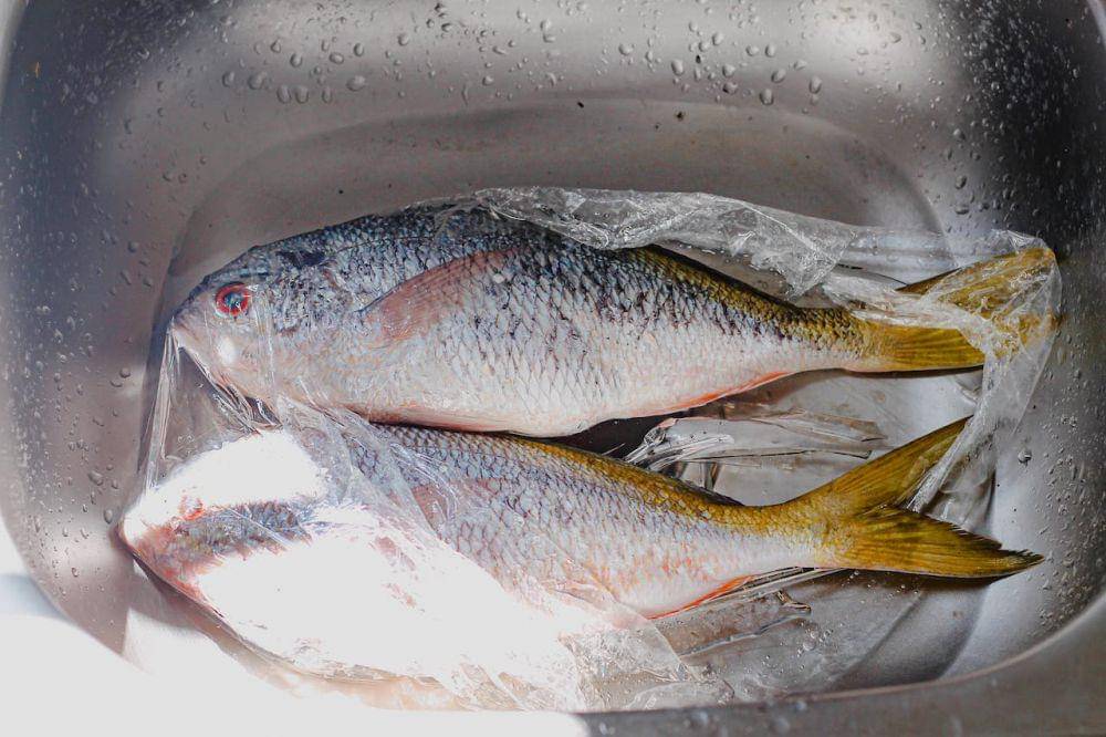 ilustrasi ikan segar yang akan dibersihkan