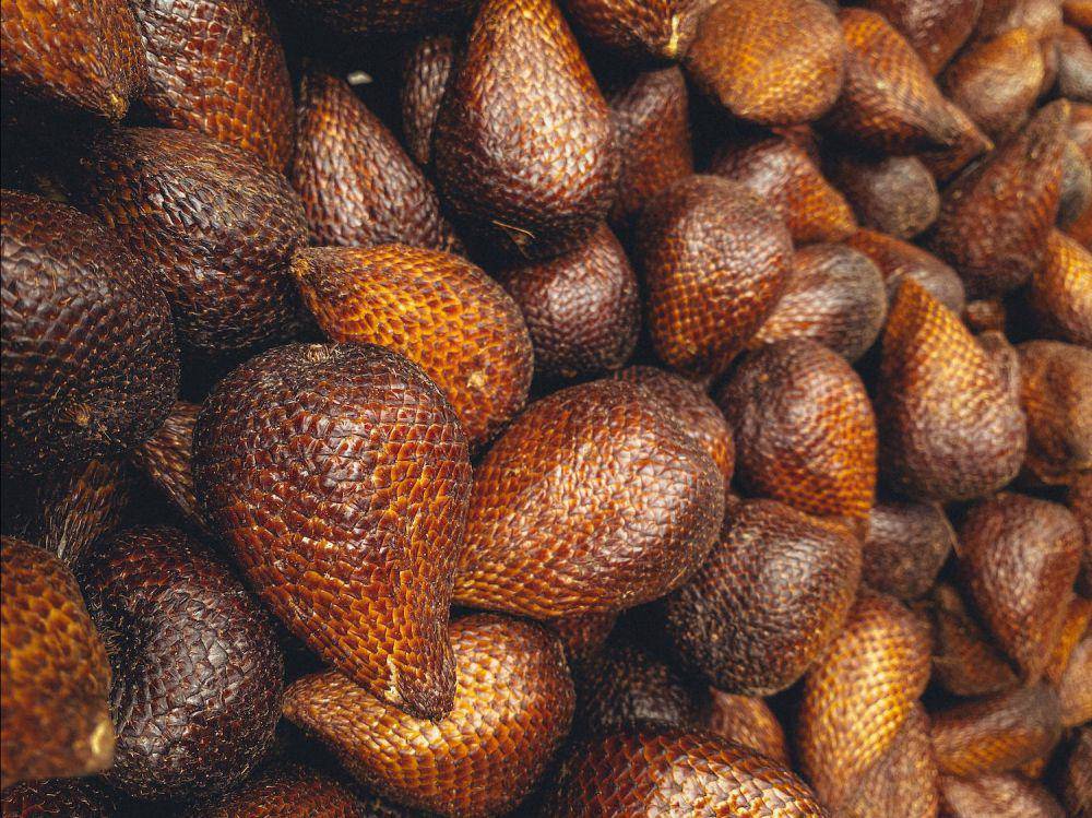 ilustrasi salak (pexels.com/Adityo Cahyo)