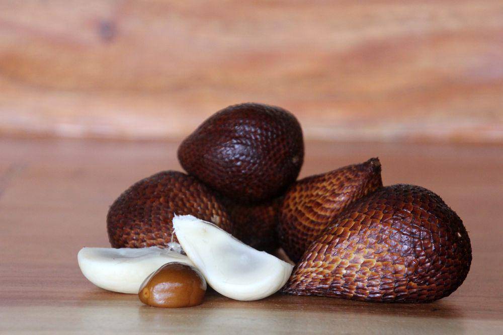 ilustrasi salak (pixabay.com/InstagramFOTOGRAFIN)