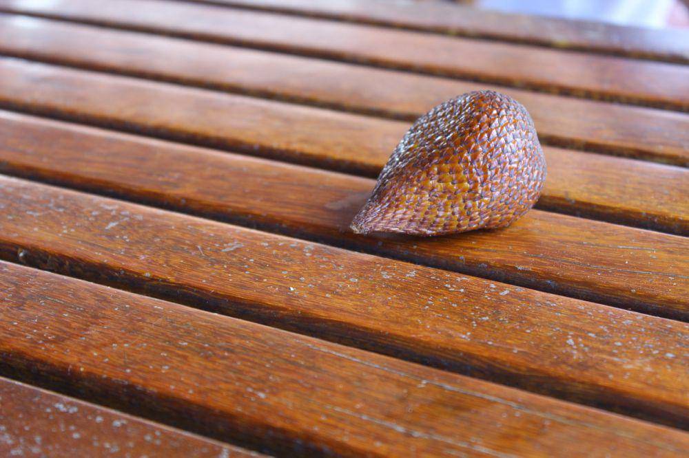 ilustrasi salak (pixabay.com/huey3800)