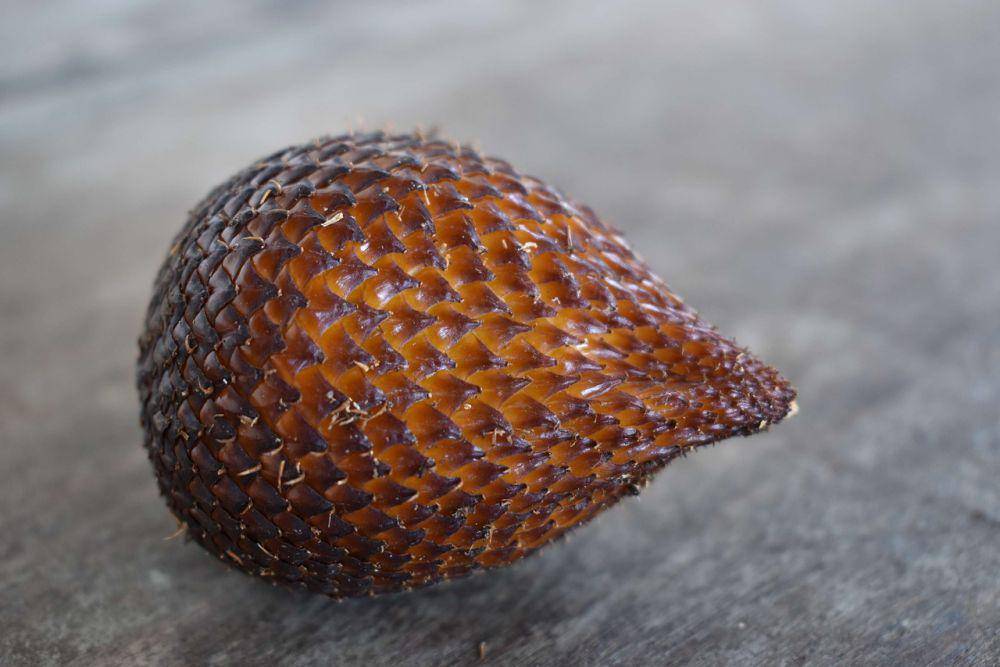 ilustrasi salak (pixabay.com/WonderfulBali)