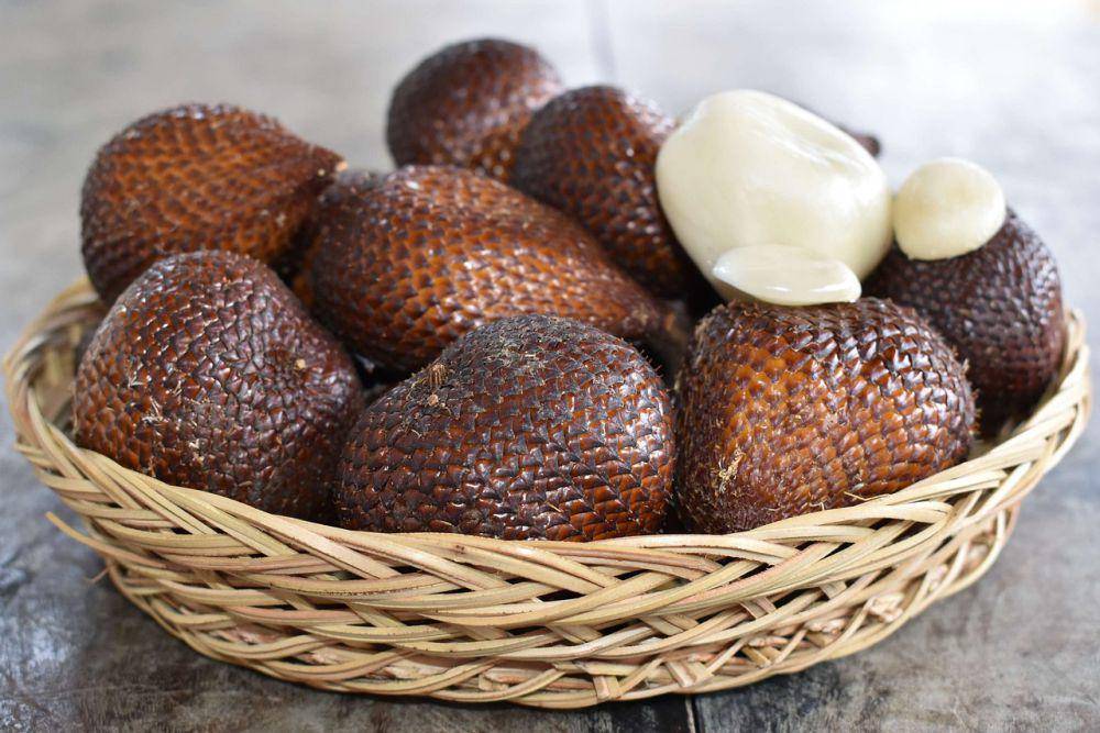 ilustrasi salak (pixabay.com/WonderfulBali)