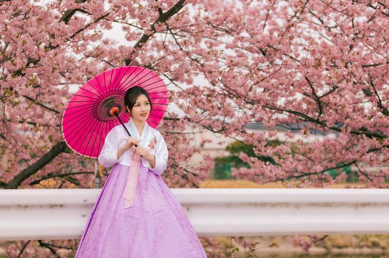50 Marga Korea Populer Beserta Arti dan Fakta Menariknya