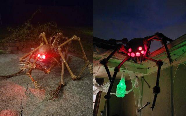 potret dekorasi laba-laba untuk Halloween (reddit.com/user/PeteyPoo4631 dan Stabbing_in_the_Dark)