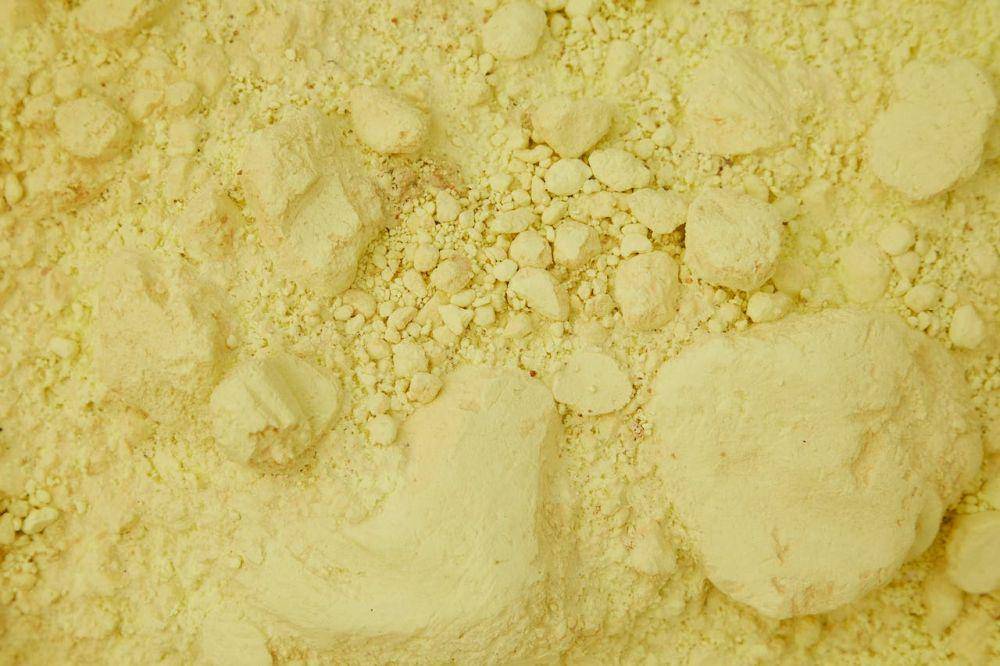 ilustrasi custard powder (pexels.com/Laker)