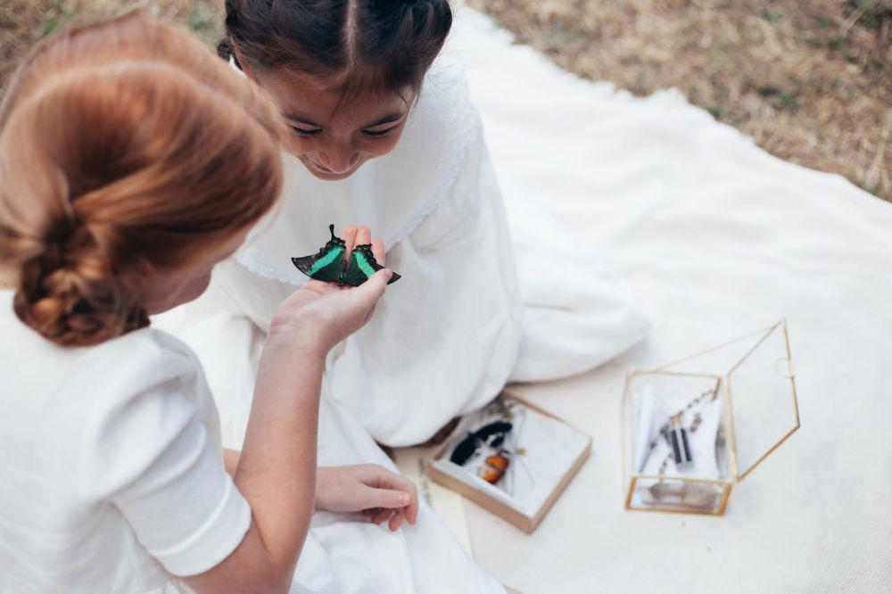 Mengenal Ethnoentomology, Ilmu Hubungan Manusia dengan Serangga!