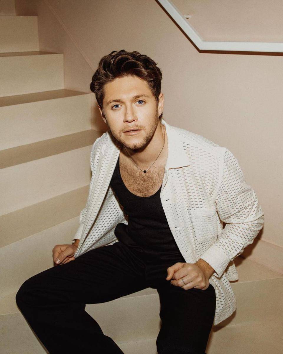 potret Niall Horan (instagram.com/niallhoran)
