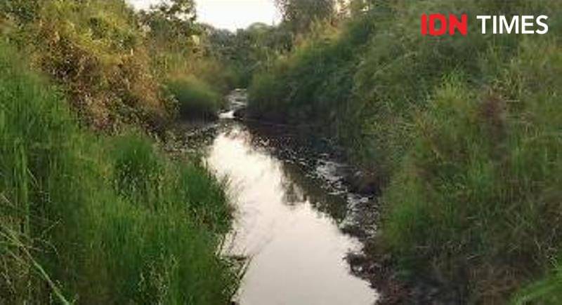 Atasi kekeringan Perumda AMDT optimalkan aliran sungai sekitar WTP (IDN Times/Ervan)
