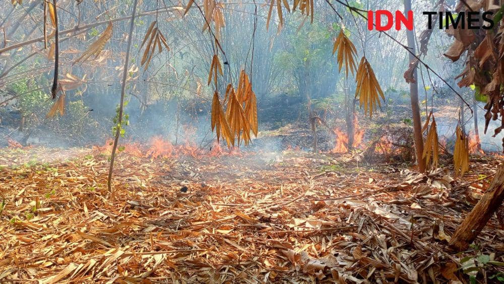 Inin Nastain IDN Times/ kelabakan lahan yang terjadi di Desa Bantarwaru, Kecamatan Ligung