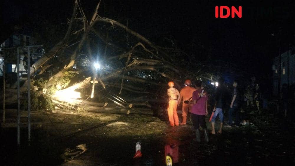 Inin Nastain/ musibah pohon tumbang pada April 2023