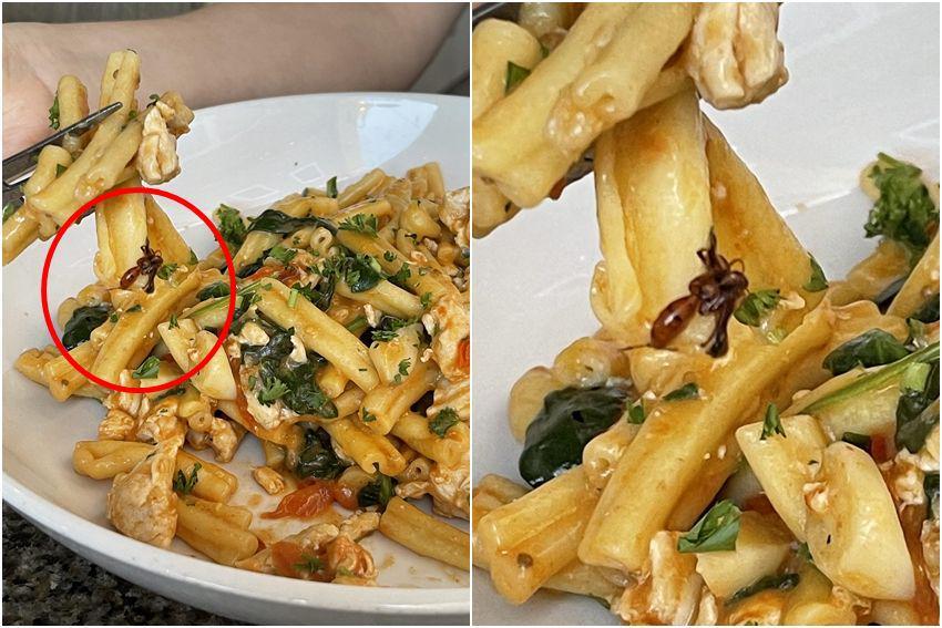 10 Momen Menjengkelkan saat Makan Pasta, Kenapa Nemu Serangga?