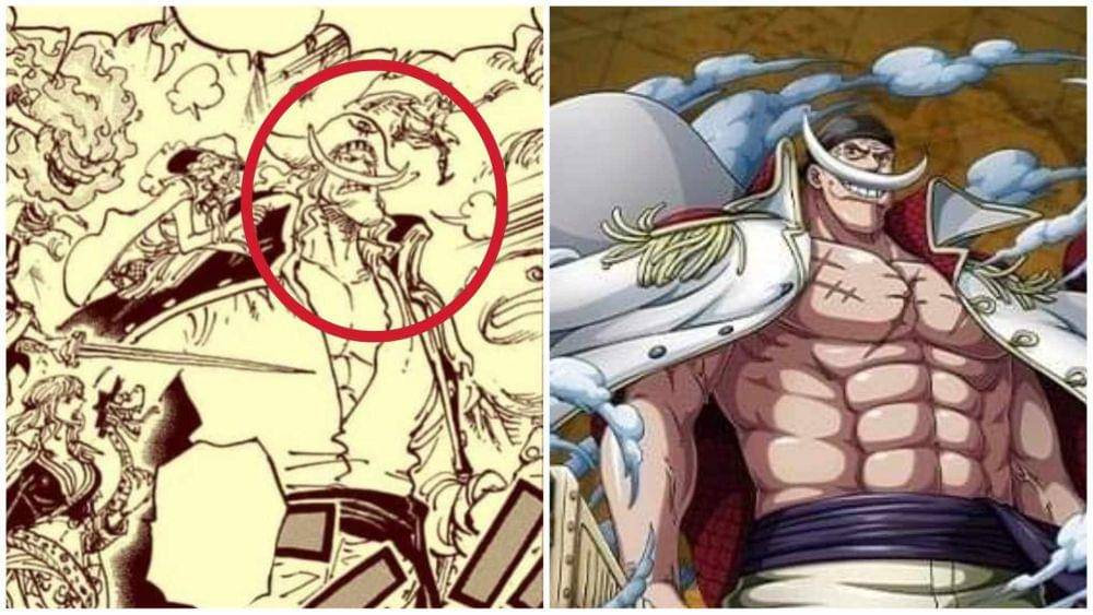 (Dok. Shueisha, Toei Animation, Eiichiro Oda/One Piece)