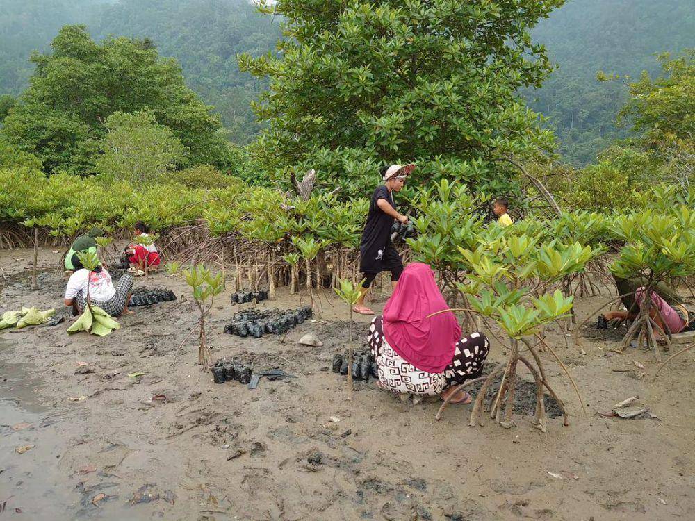 Ilustrasi Target Penanaman Mangrove (instagram.com/andespindeepwestsumatera)