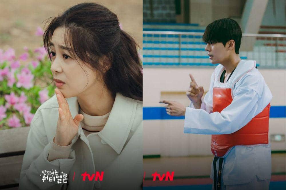 still cut drama Twingkling Watermelon (instagram.com/tvn_drama)