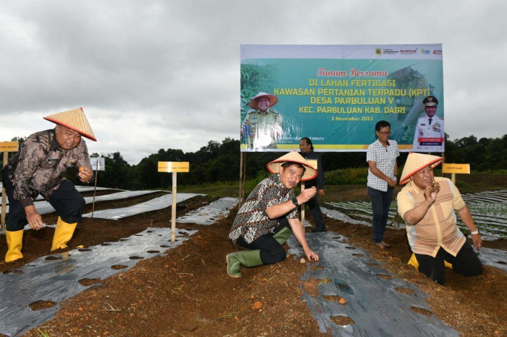 Program 3F Digenjot, Dairi Berpotensi Jadi Lumbung Pangan