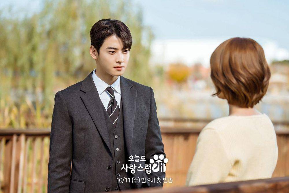 cuplikan drama A Good Day to Be a Dog (instagram.com/mbcdrama_now)