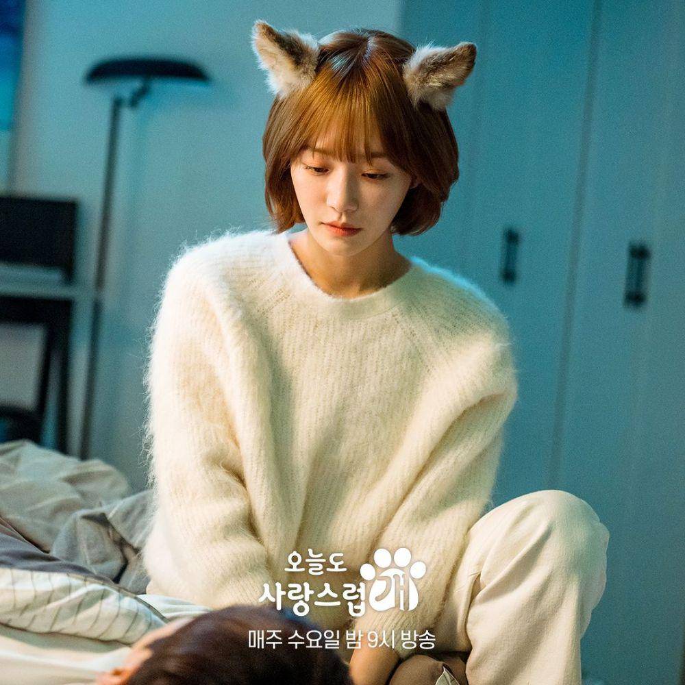 cuplikan drama A Good Day to Be a Dog (instagram.com/mbcdrama_now)