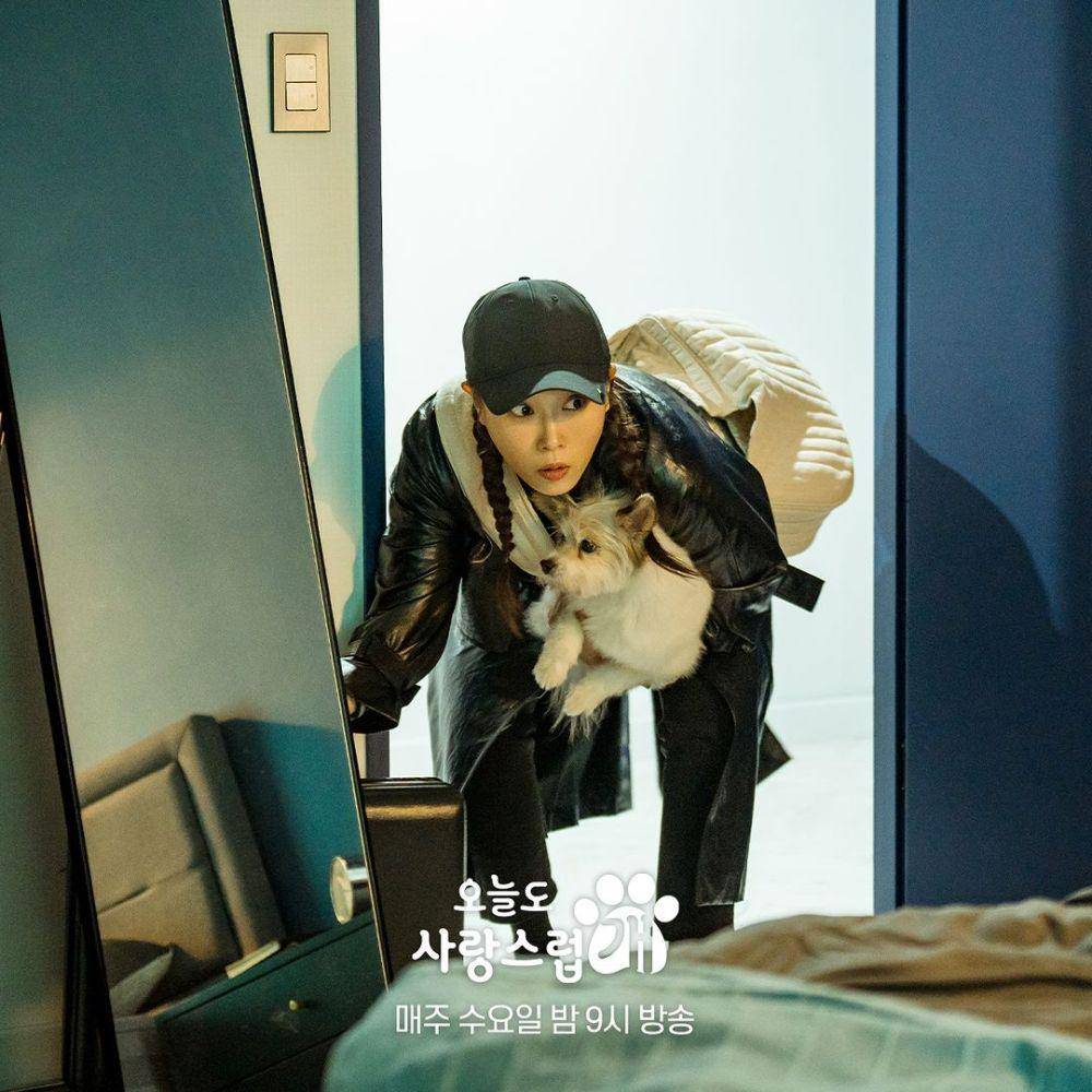 cuplikan drama A Good Day to Be a Dog (instagram.com/mbcdrama_now)