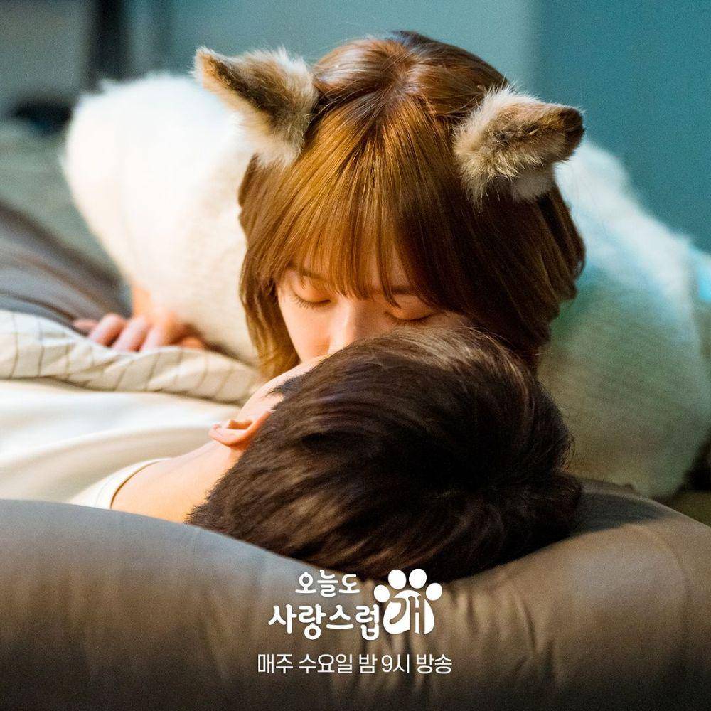 cuplikan drama A Good Day to Be a Dog (instagram.com/mbcdrama_now)