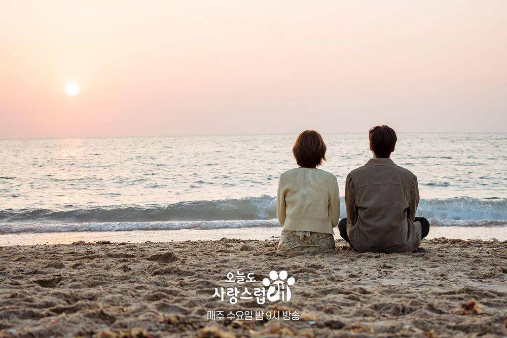 cuplikan drama A Good Day to Be a Dog (instagram.com/mbcdrama_now)