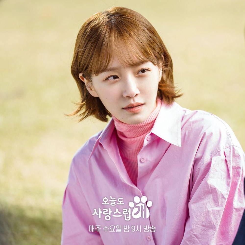 cuplikan drama A Good Day to Be a Dog (instagram.com/mbcdrama_now)