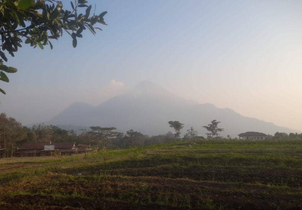 Kondisi terkini Gunung Penanggungan. (Dok. BPBD Kabupaten Mojokerto)