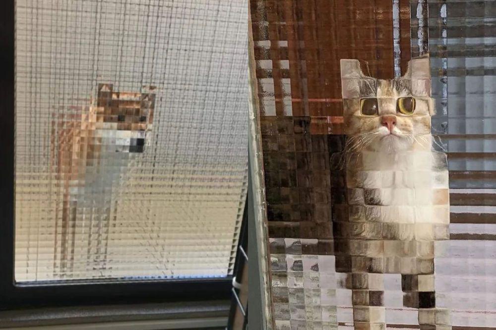 7 Potret Kucing dan Anjing kayak Karakter Minecraft, Kotak-Kotak!