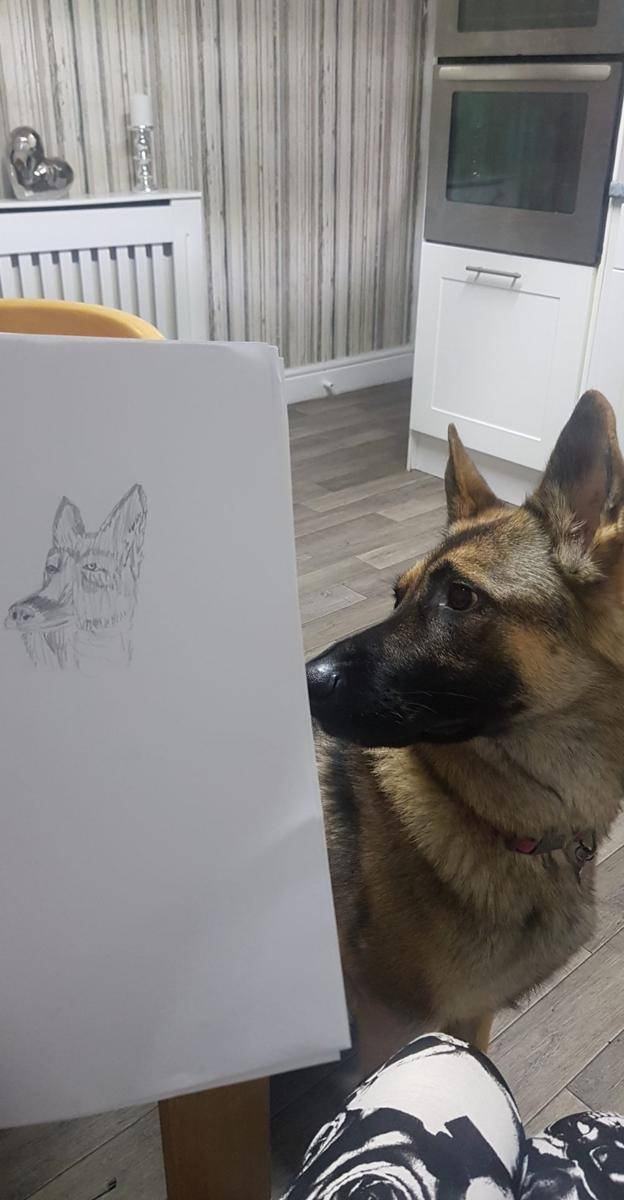 momen kocak menggambar gak sesuai ekspektasi (reddit.com/user/ProbationInTheMaking)