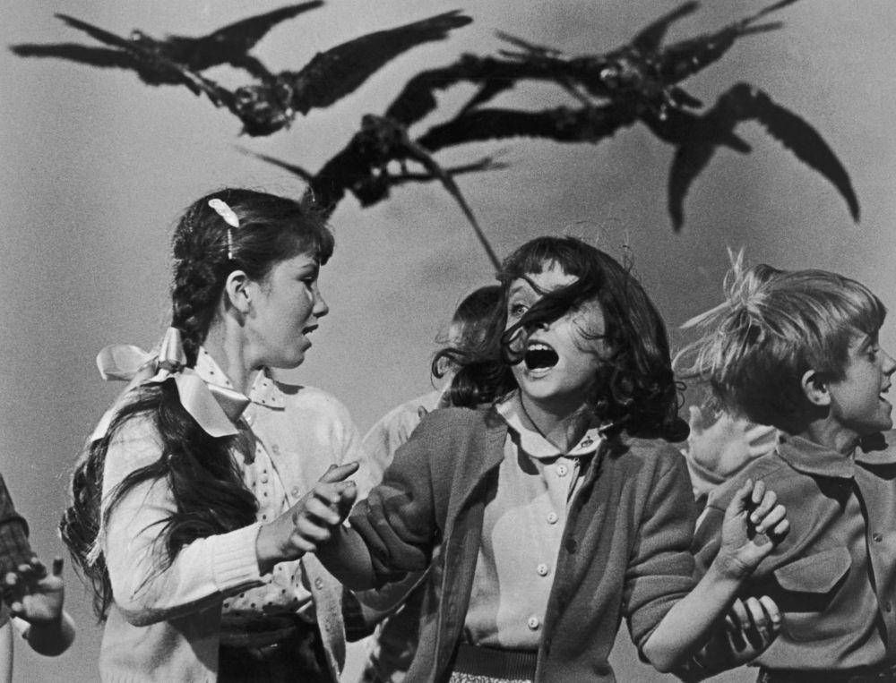 cuplikan film The Birds (dok. Universal Pictures/The Birds)