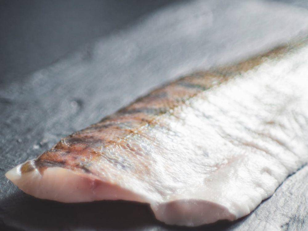 kulit salmon (pexels.com/Markus Spiske)