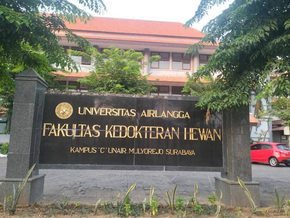 Mahasiswi Unair Diduga Bunuh Diri, Sering Takut Soal Masa Depan