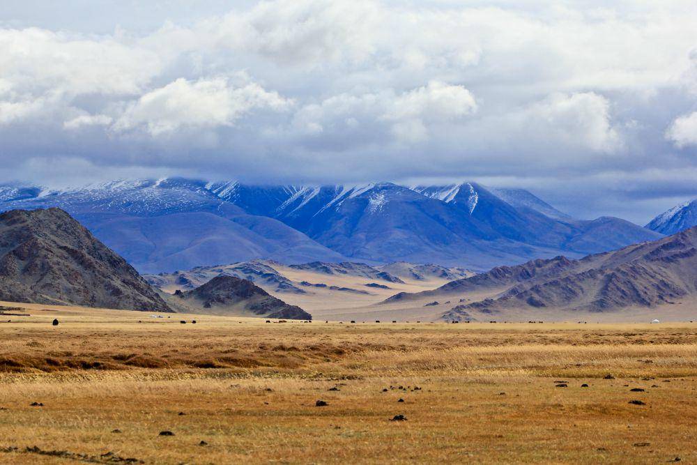 ilustrasi Mongolia (unsplash.com/Bolatbek Gabiden)