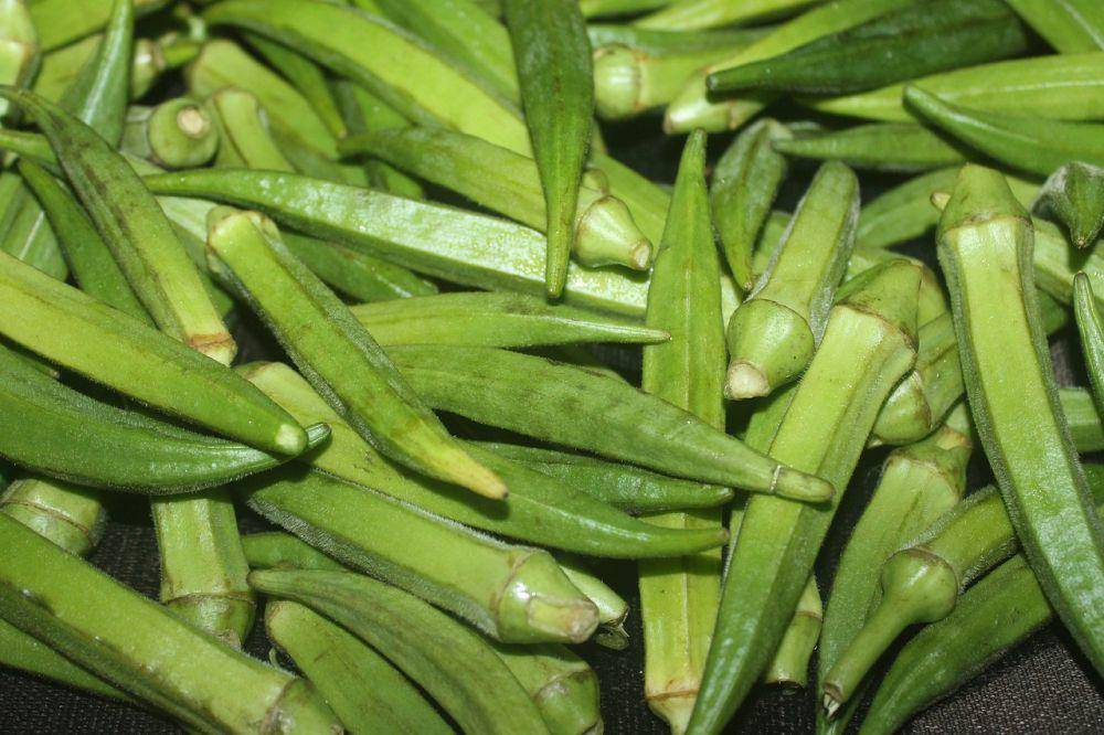 ilustrasi okra (pixabay.com/RikkyLohia)