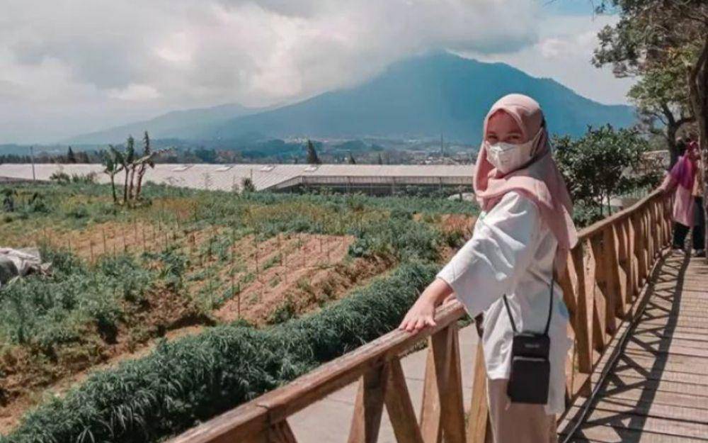 Merbabu Park (instagram.com/merbabupark)