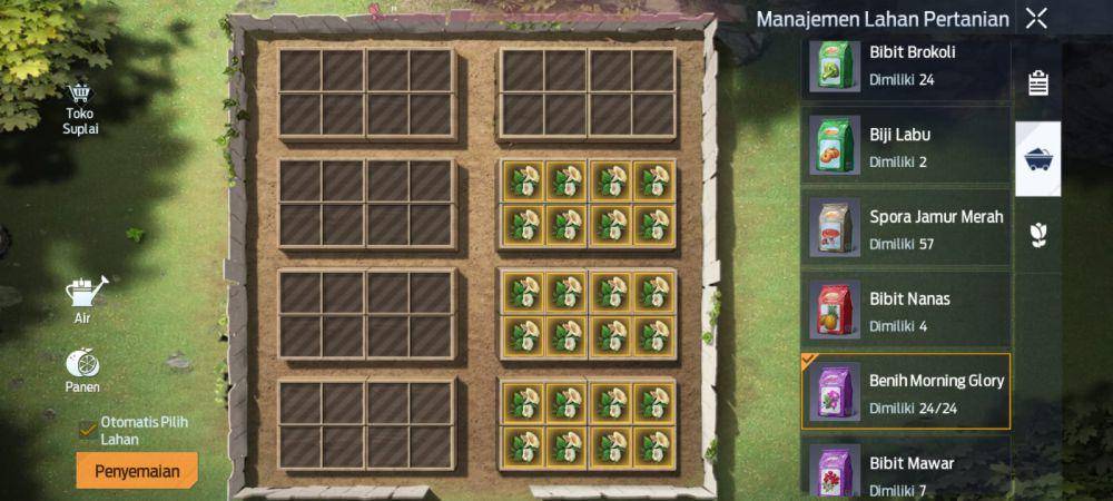 benih morning glory Undawn (dok. Tencent Games/Undawn)