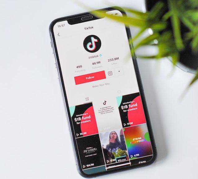 ilustrasi profil TikTok yang menunjukan konten dengan niche tertentu (unsplash.com/@helloimnik)