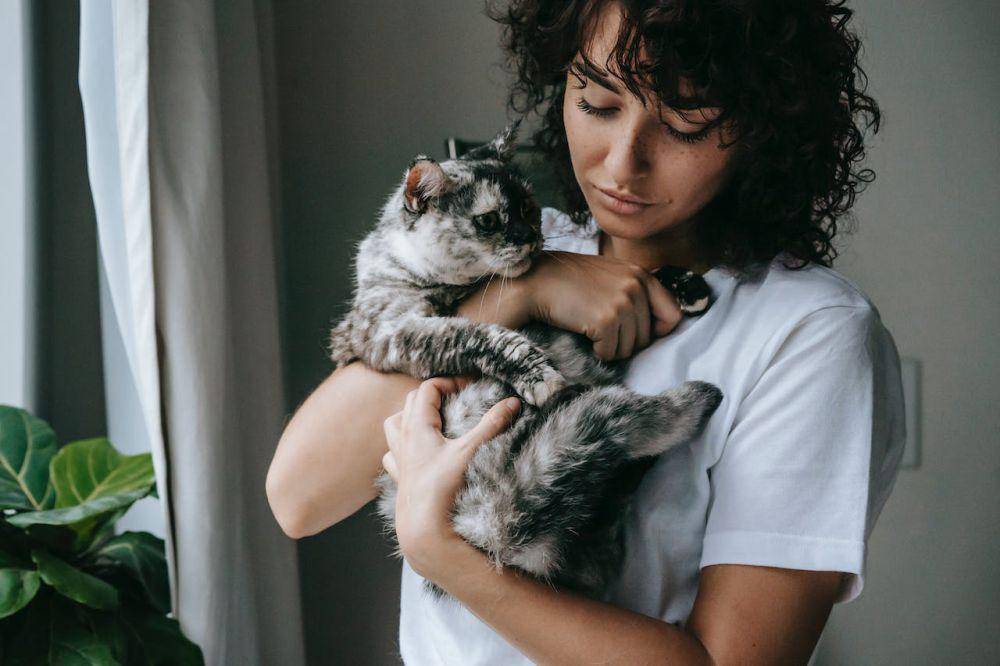 ilustrasi menggendong kucing (pexels.com/Sam Lion)