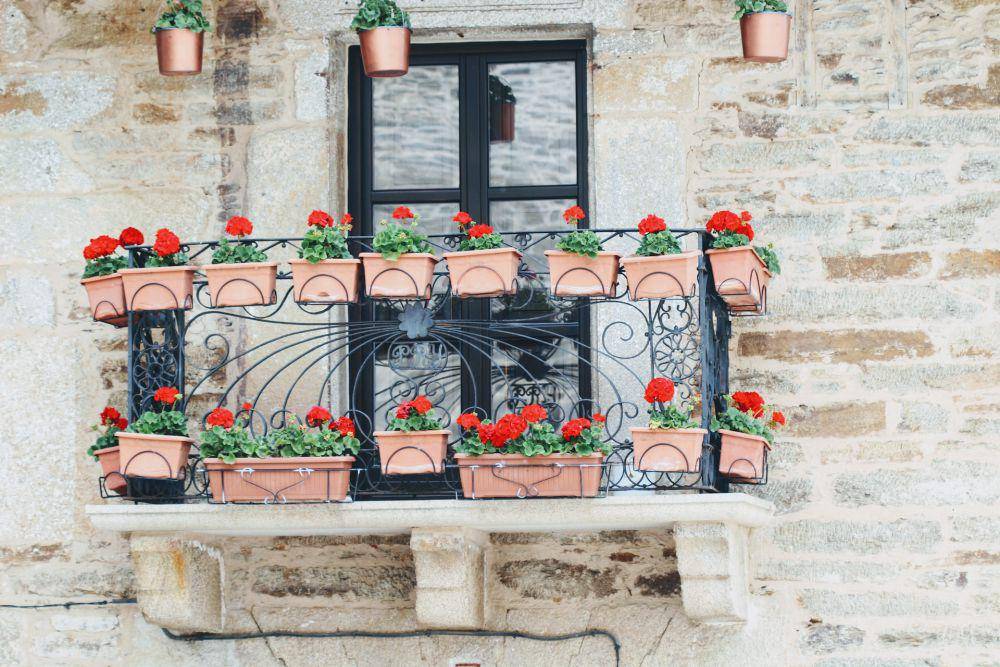 ilustrasi vertical garden di pagar pembatas balkon (unsplash.com/Dina Spencer)