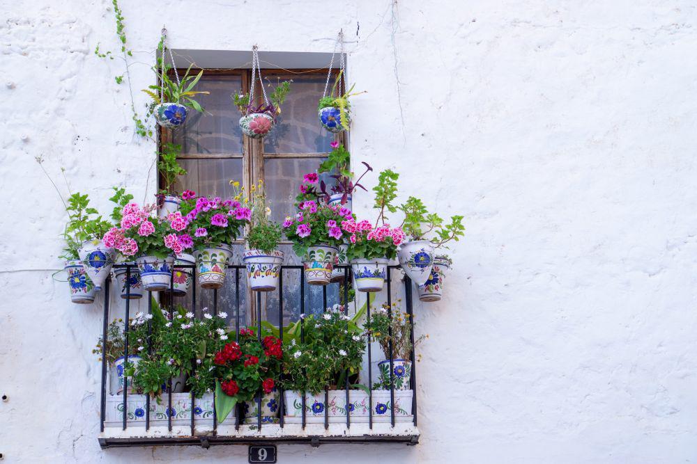 5 Tips Hadirkan Vertical Garden di Balkon Sempit