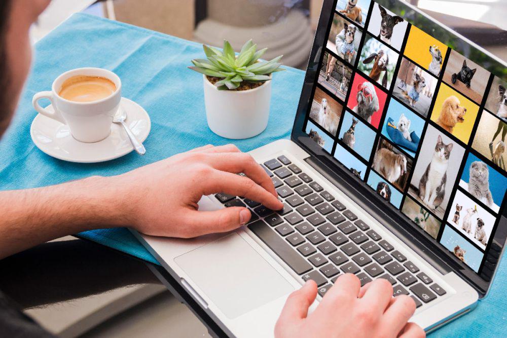 8 Website untuk Menjual Foto Terbaik, Bisa Dapat Uang!