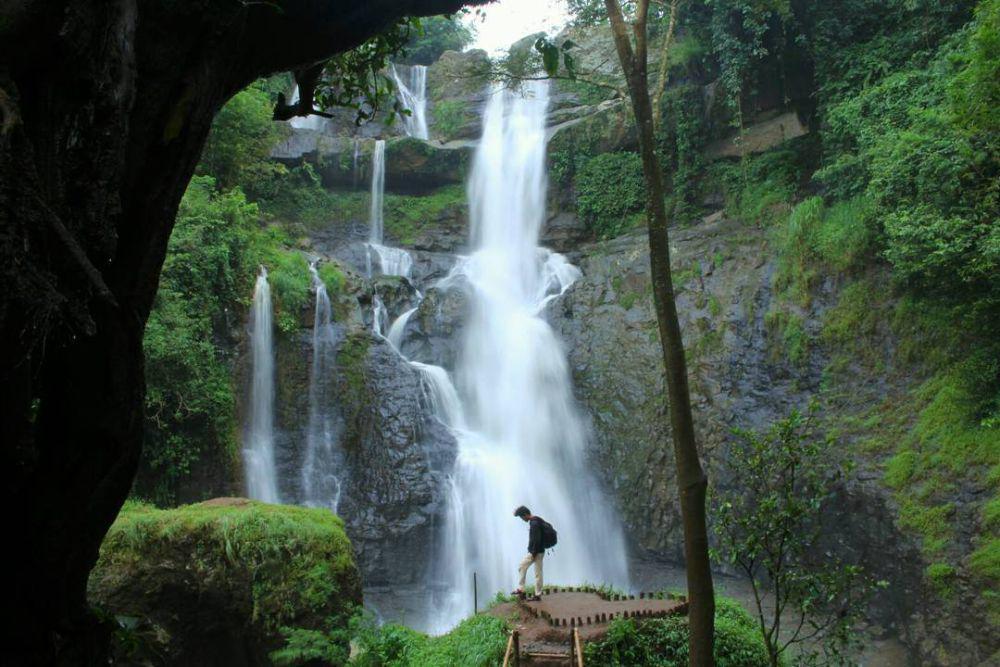 7 Tempat Wisata di Pacitan selain Pantai, Ada Sungai Maron!