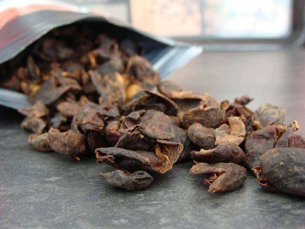 ilustrasi teh cascara (pixabay.com/Ken_Lecoq)