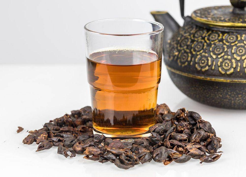 ilustrasi teh cascara (commons.wikimedia.org/Raimond Spekking)