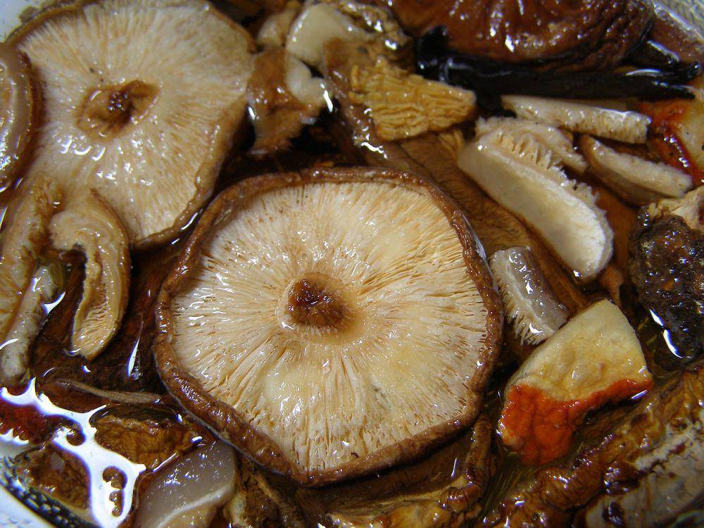 ilustrasi jamur shitake (pixabay.com/cmtsouthshoreroad)