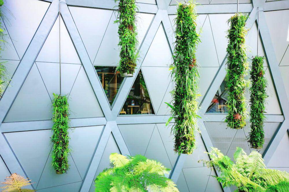 ilustrasi vertical garden gantung (pexels.com/世品 苏)